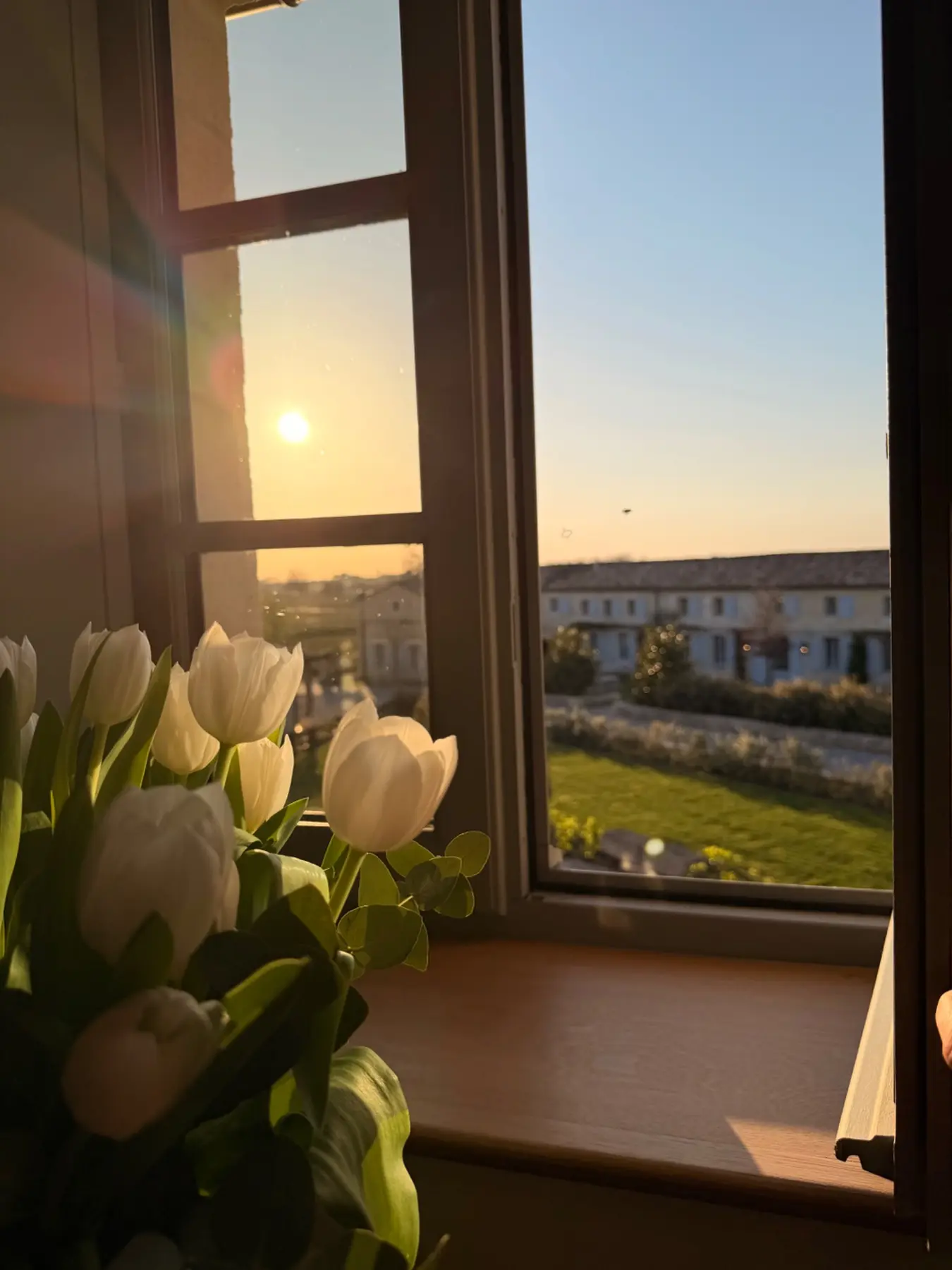 Petit déjeuner lumineux devant une fenêtre avec fleurs